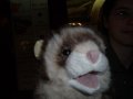 DSCF2686.JPG